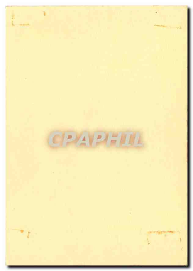 CPM Monique — Rückseite