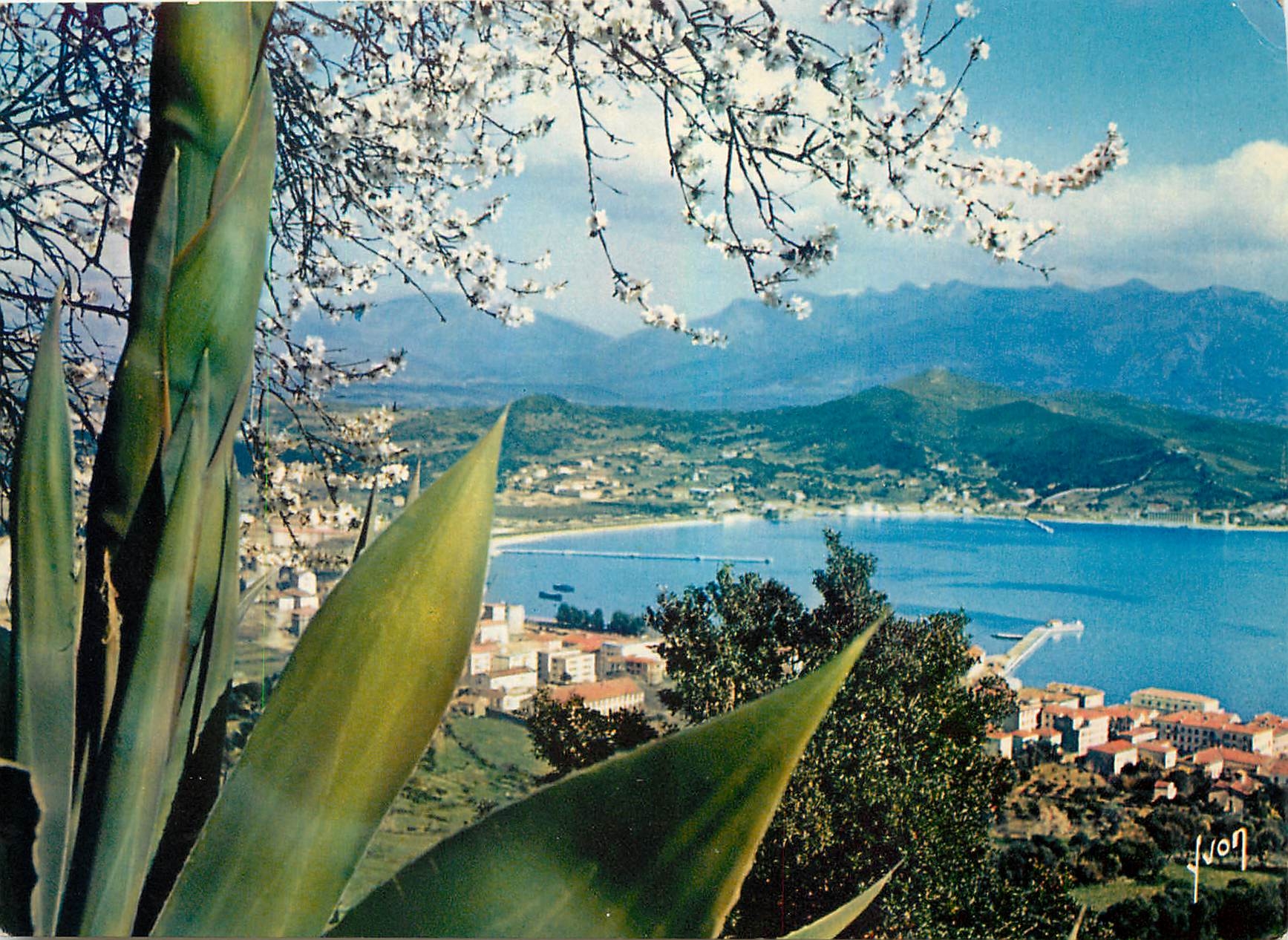 CPM Couleurs et Lumiere de France La Corse oasis de Beaute Ajaccio Vue generale sur la Ville et le G