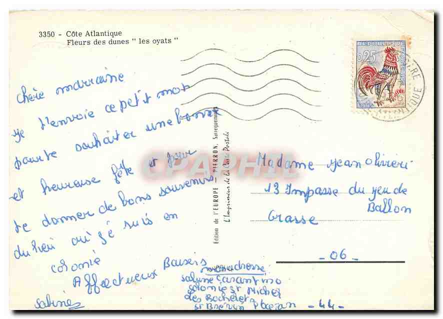 CPM Cote Atlantique fleurs des dunes les oyats  — Rückseite