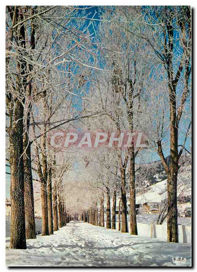 CPM Neige et Soleil 