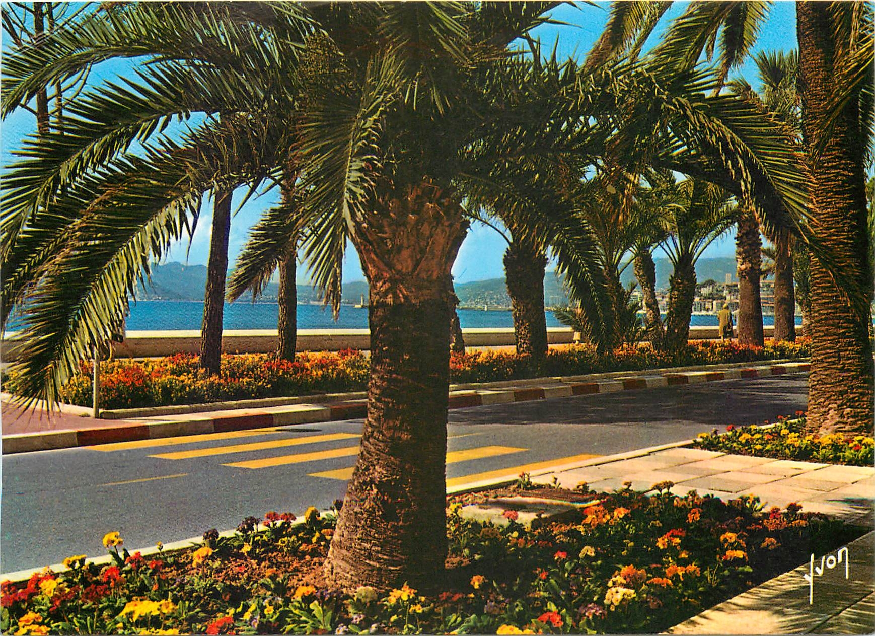 CPM La Cote d'Azur miracle de la Nature Cannes Alpes Maritimes les Parterres fleurie de la Croisette