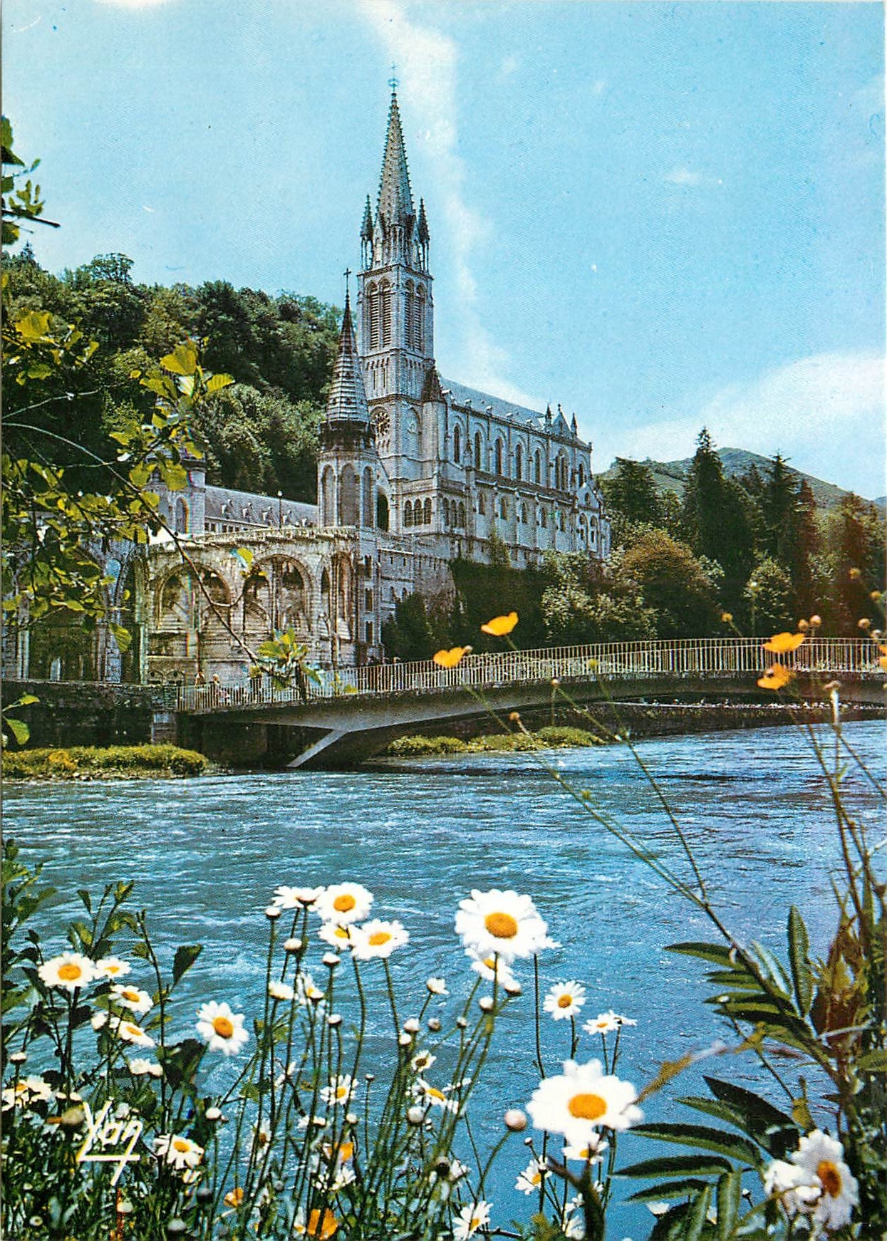 CPM Nos Belles Pyrenees Lourdes La Basilique et le Gave de Pau 