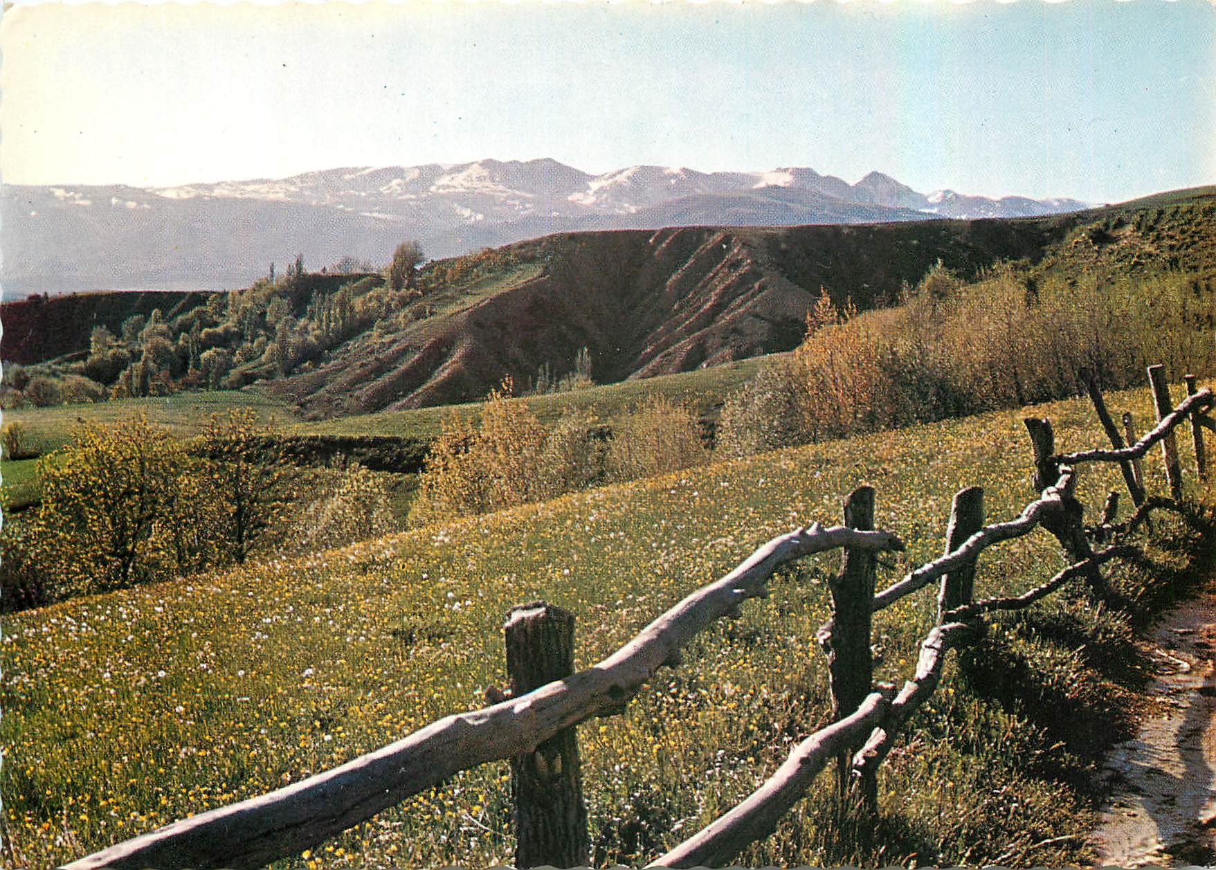 CPM Paysage de Cerdagne Au fond le Pic Carlit 