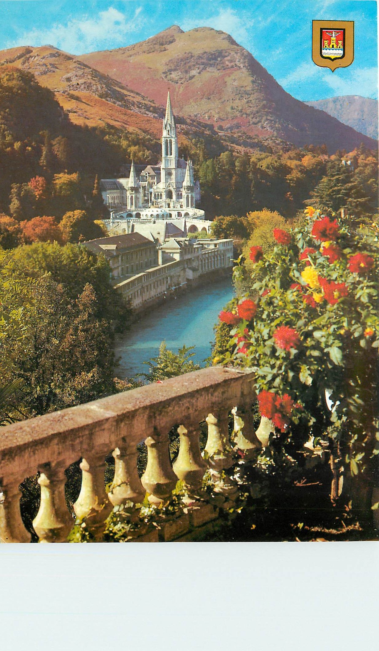 CPM Lourdes La Basilique et le Gave 