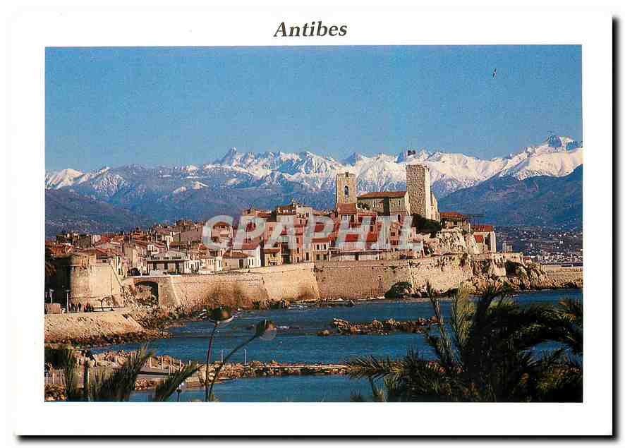 CPM Cote d'Azur Antibes La vieille ville et ses remparts 