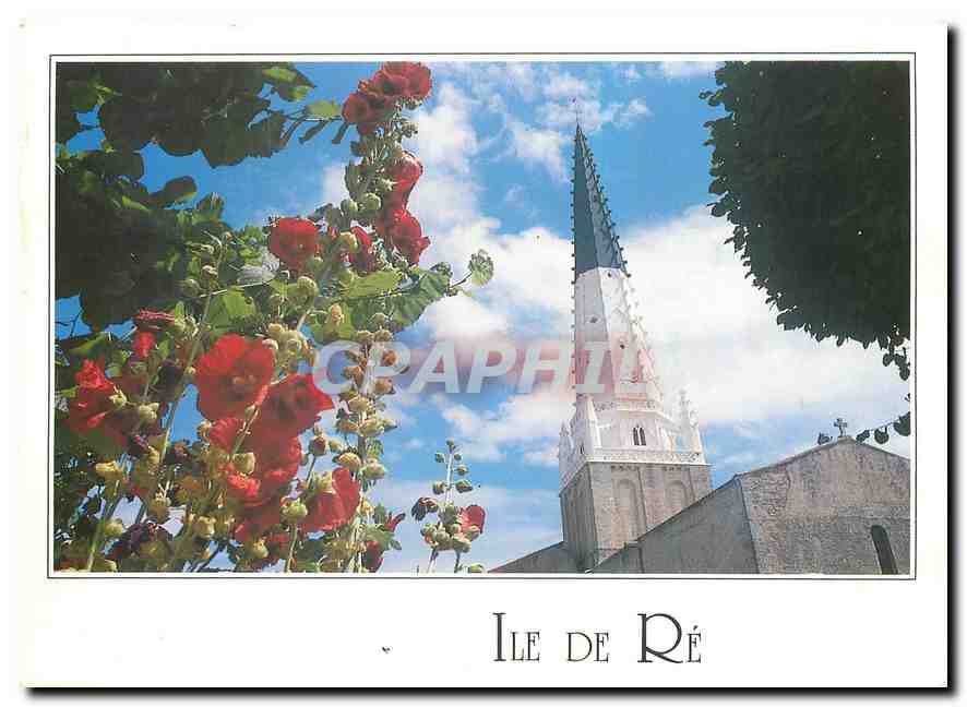 CPM Ile de Re Le image de la charente maritime clocher de l'eglise St Etienne 