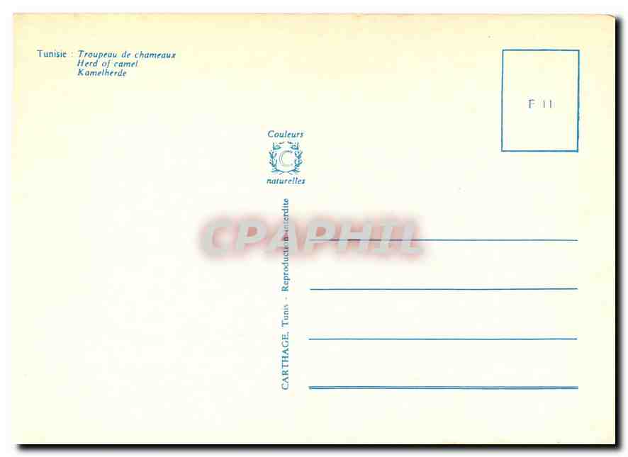 CPM Tunisie Troupeau de Chameaux  — Rückseite