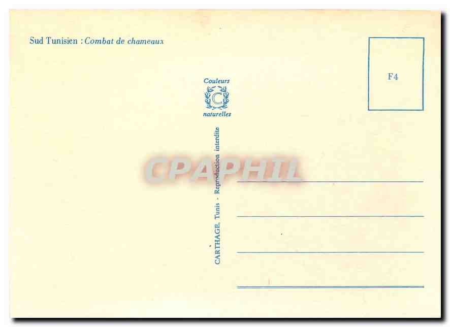 CPM Sud Tunisien Combat de Chameaux  — Rückseite