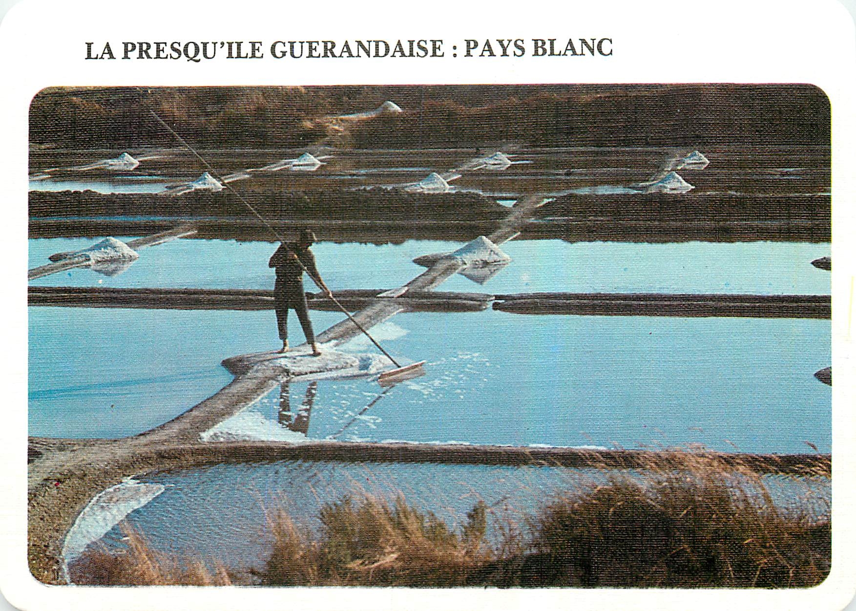 CPM Art et Traditions de Bretagne La presqu'ile guerendaise pays blanc 
