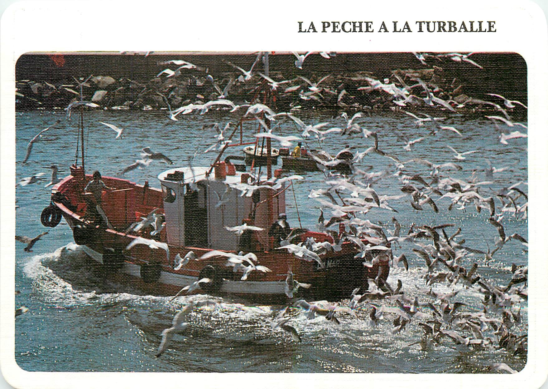 CPM Art et Traditions de Bretagne La peche a la Turballe 