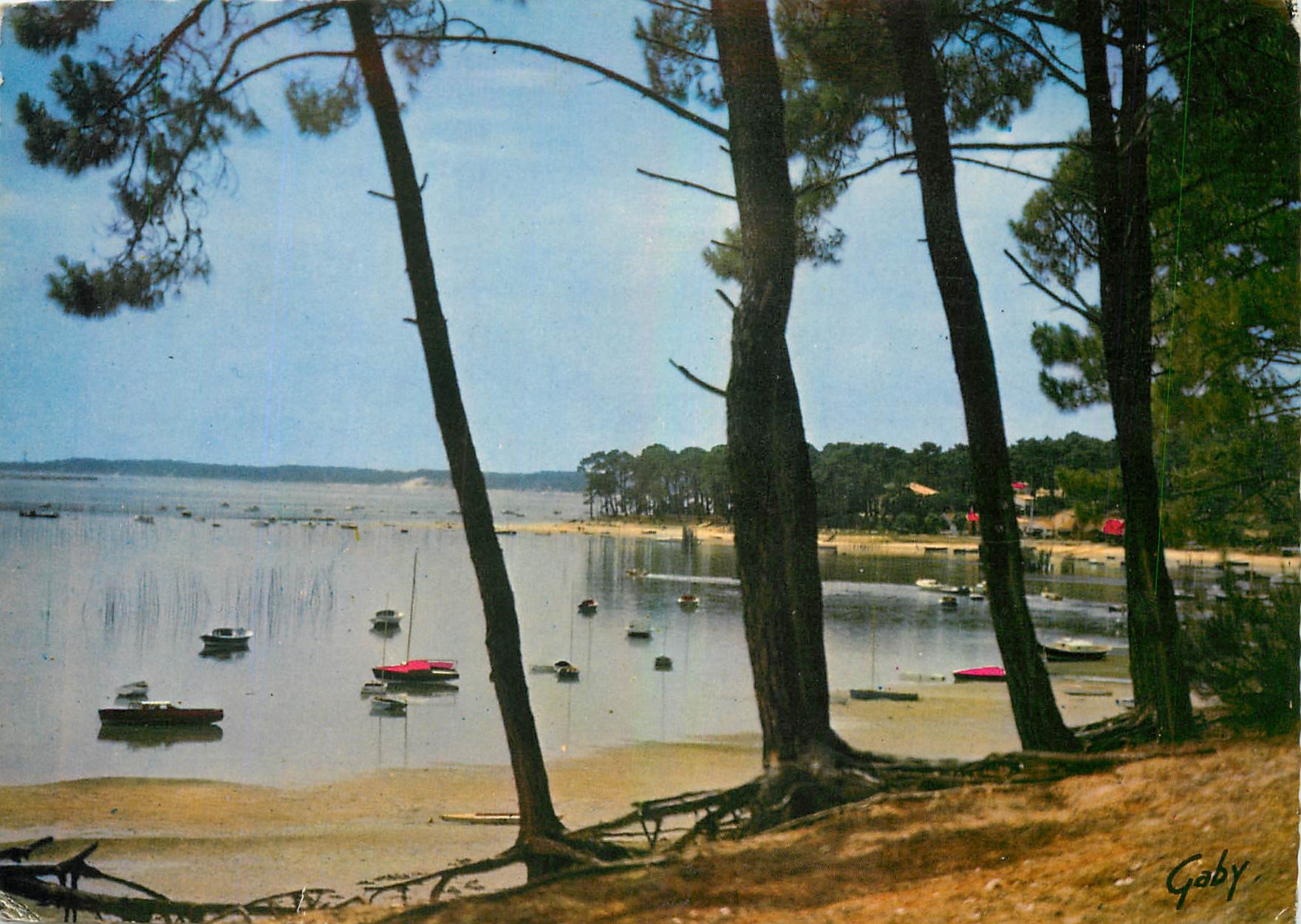 CPM En Parcourant Le Bassin d'Arcachon La Pointe Aux Chevaux 
