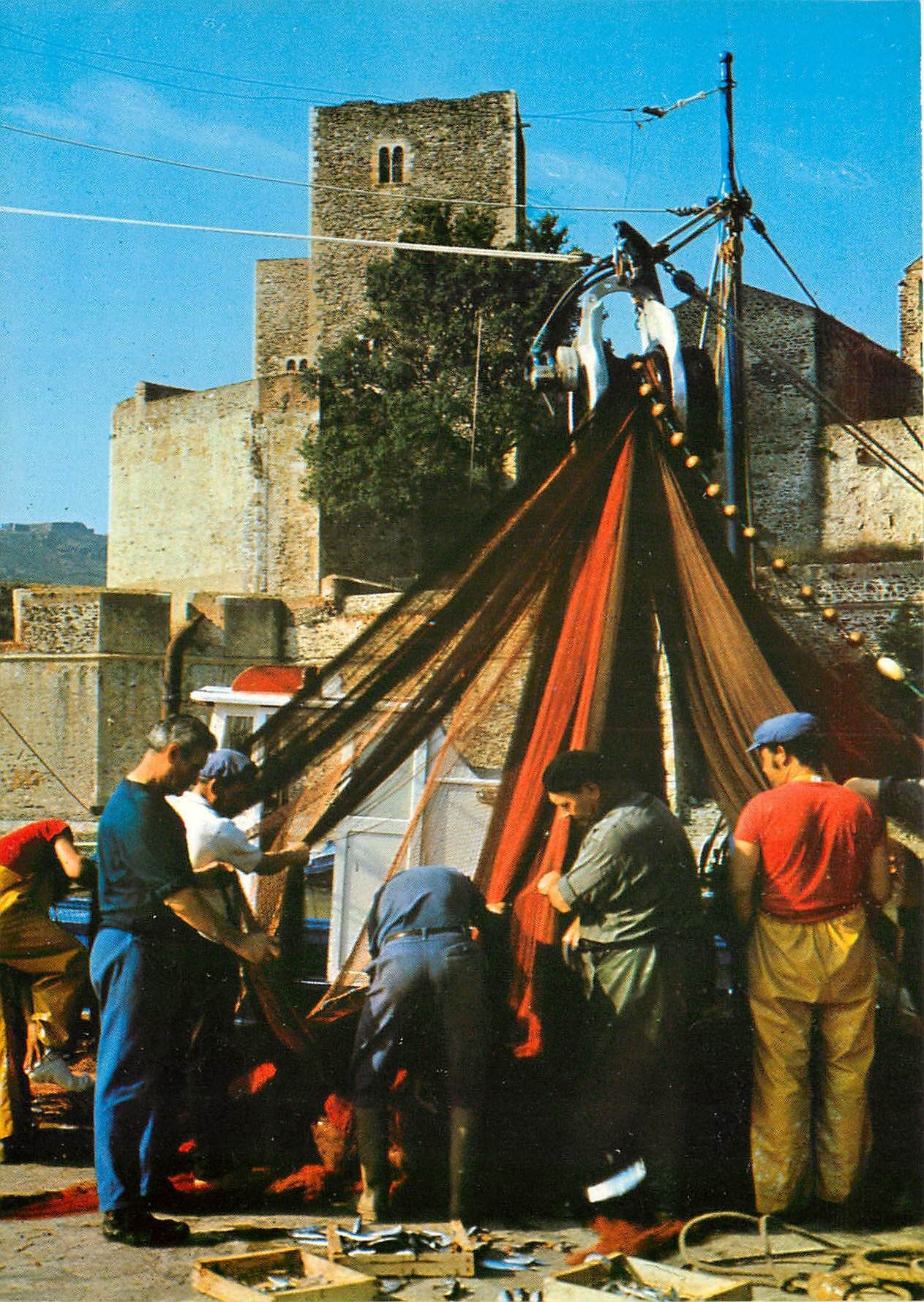CPM La Cote Verreille Collioure Scene de peche devant le chateau Royal Verification des filets 