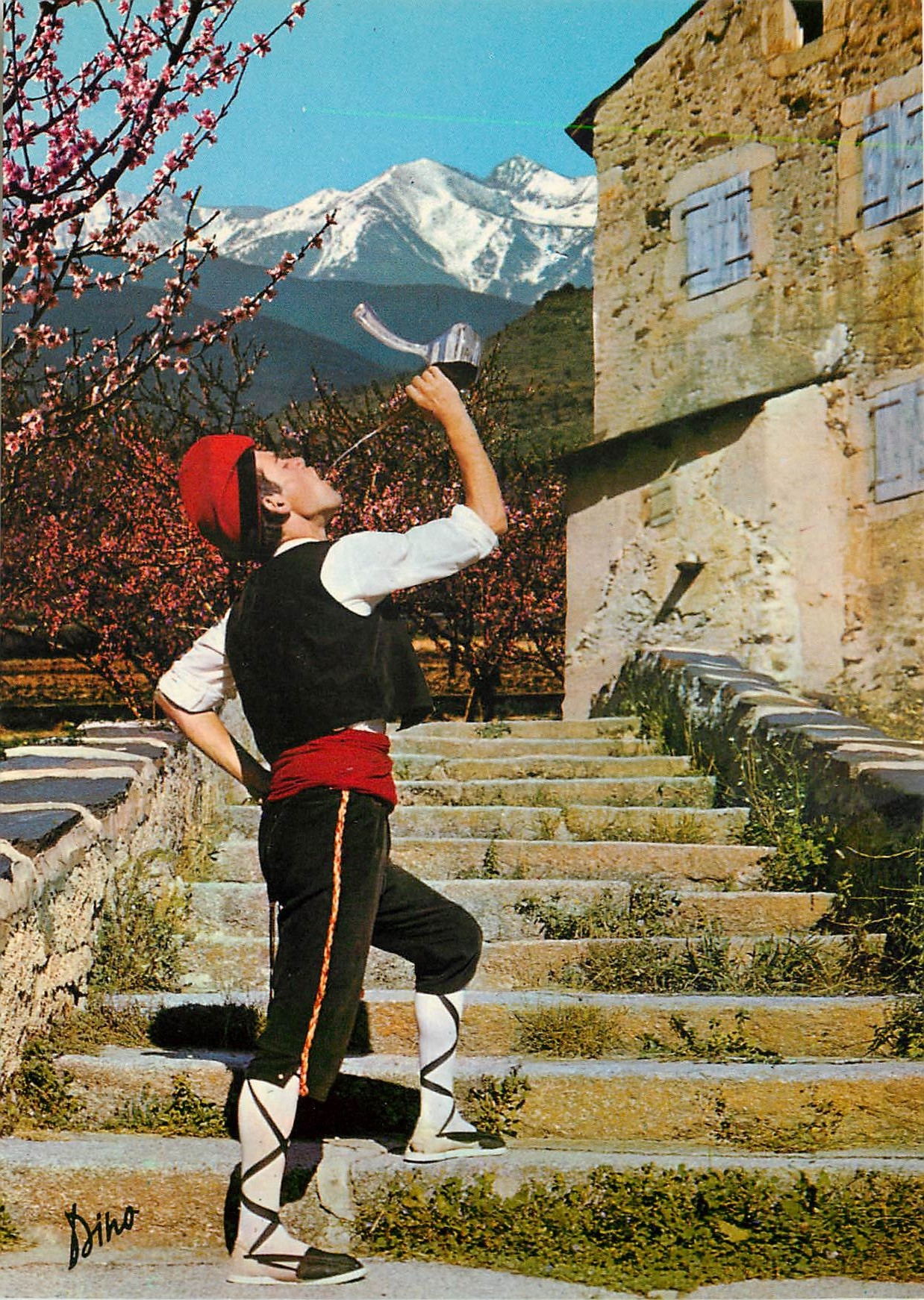 CPM Folklore et Couleurs du Roussillon Jeune Catalan buvant au Porro au fond le Canigou 