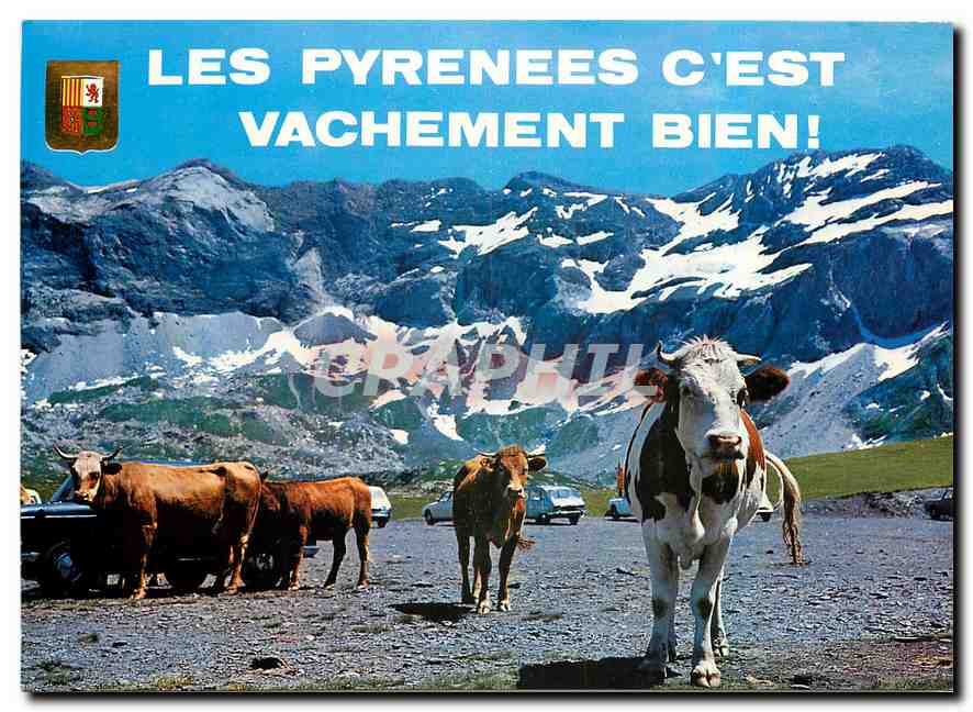 CPM Lumiere et Couleurs des Pyrenees Vallee de Heas Cirque de Troumouse Vaches