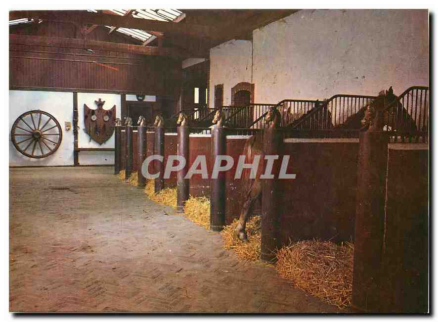 CPM Haras de Villechetive Centre Equestre Daniel Doyen L'entree des Ecuries 