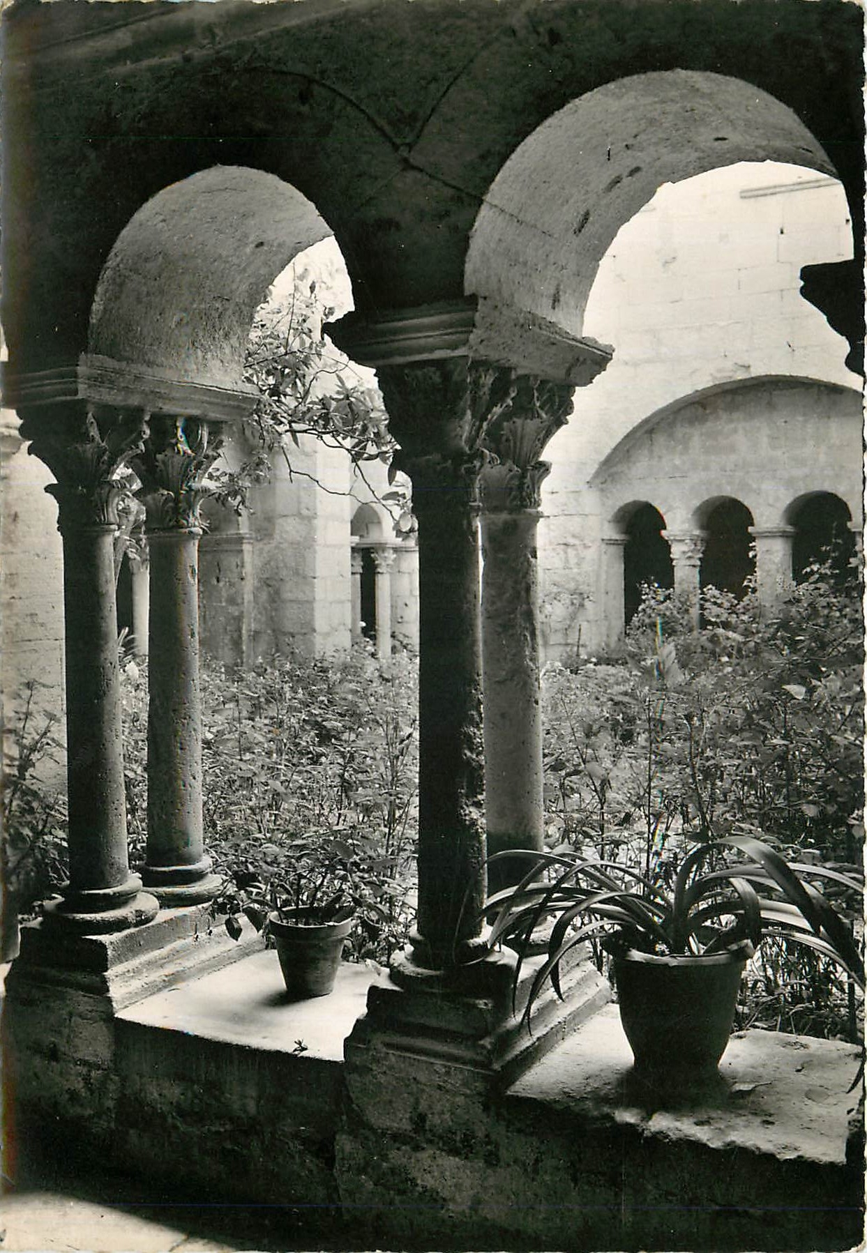 Cour intérieure d'un ancien monastère — Saint-Rémy-de-Provence — Éditions S.E.P.T. - 2, rue A. de Maussa - Nice