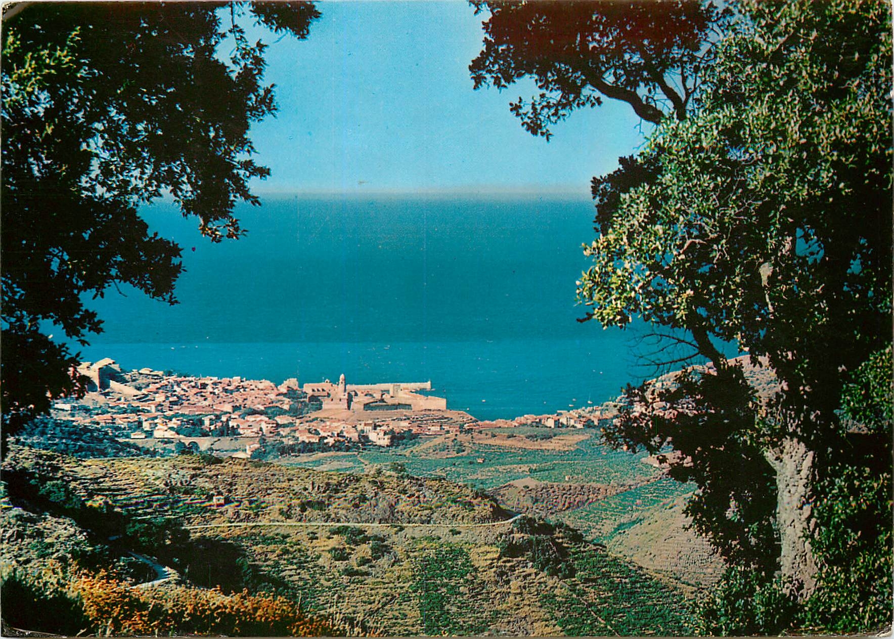 CPM Collioure P O Vue panoramique 