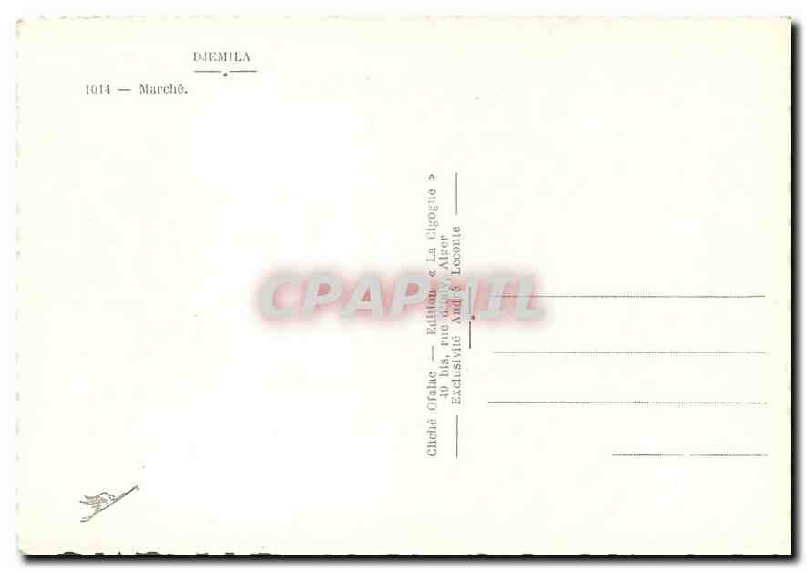 CPM Djemila Marche  — Rückseite