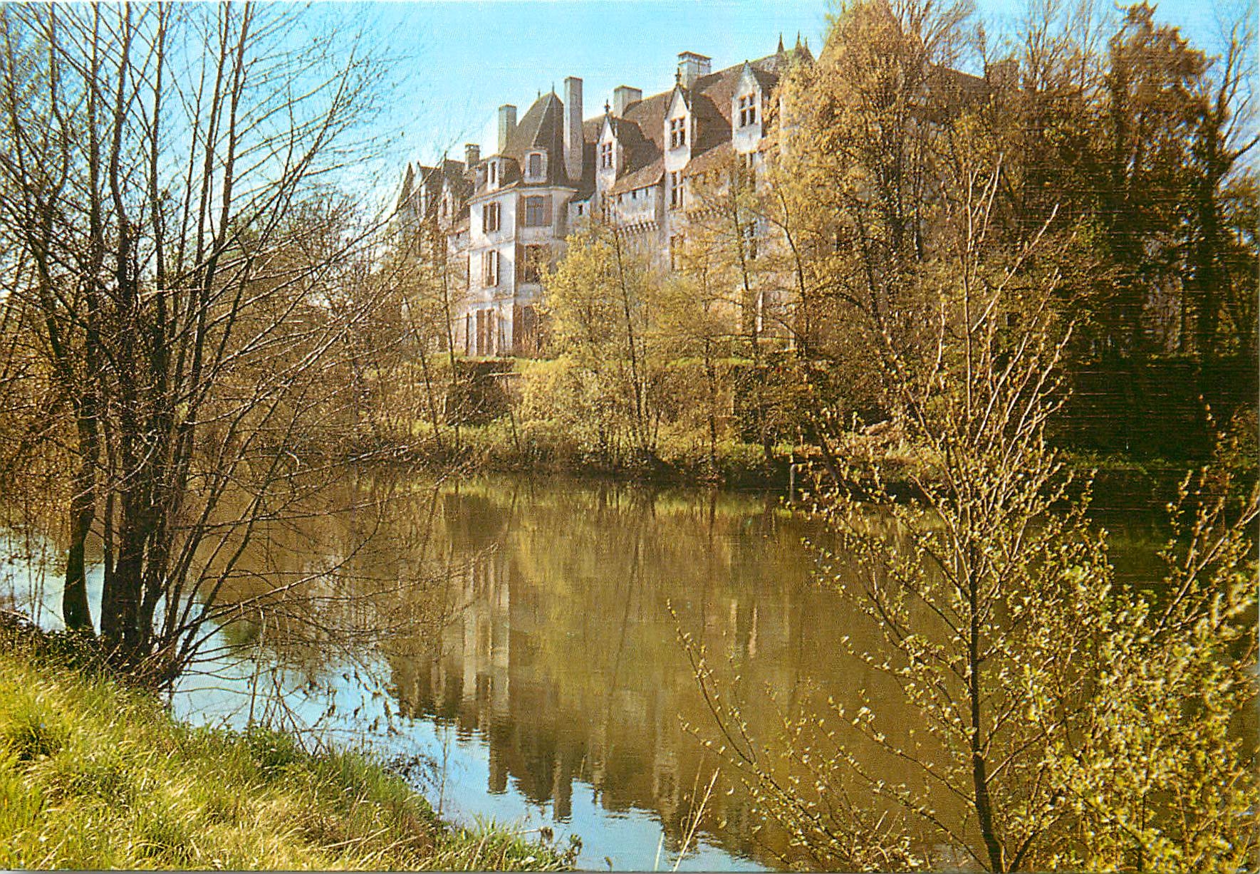 CPM Neuvie sur l'Isle Dordogne Le Chateau 