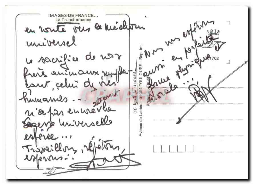 CPM Images de France La Transhumance Moutons — Rückseite