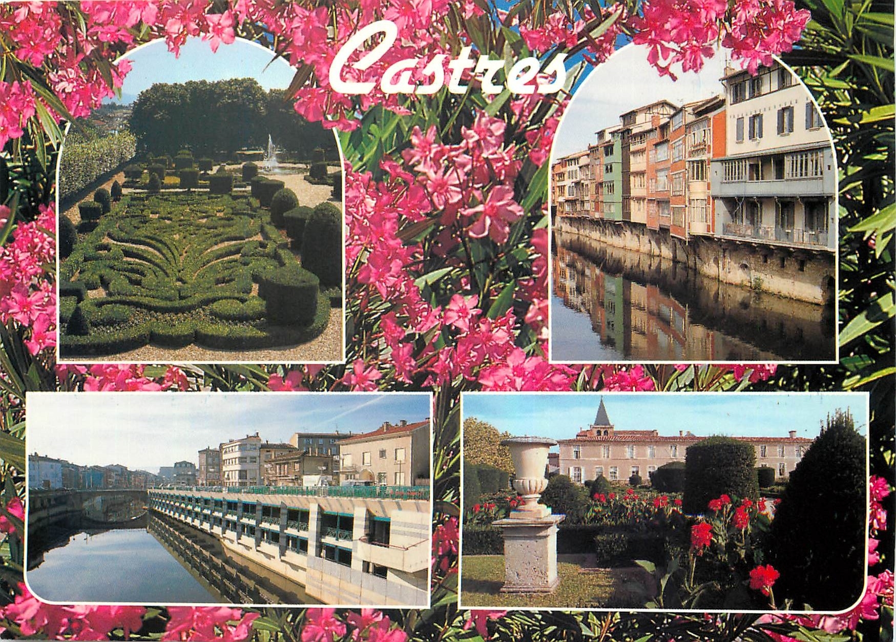 CPM Castres Yarn Les vieilles maisons au bord de l'Agout et son Musee Goya avec son jardin dessine p