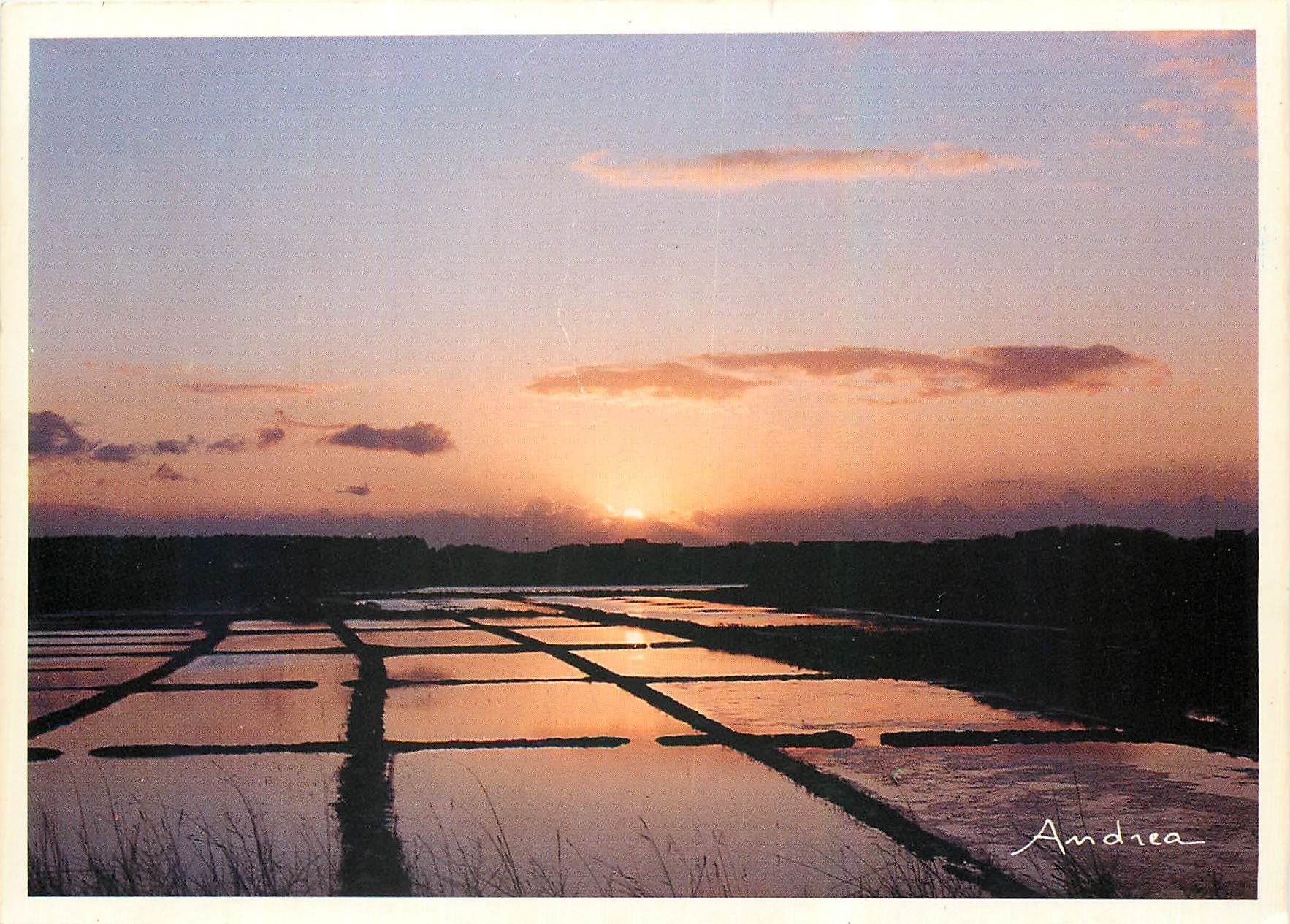 CPM Coucher de soleil sur les marais salants 