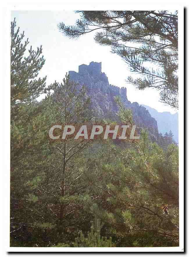 CPM Pays Cathare Chateau de Puilaurens Le nid d'aigle 