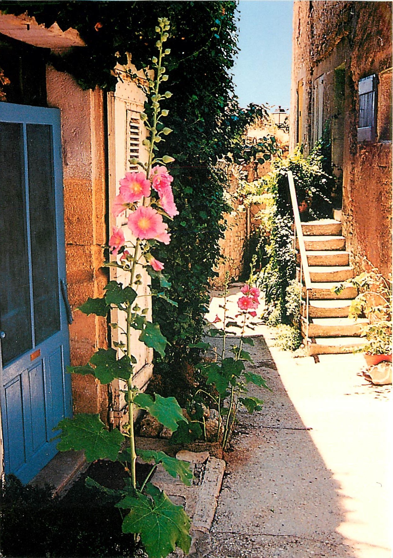 Saint-Saturnin-lès-Apt — Vieille rue de Provence — Éditions G.A.L. n° 8173