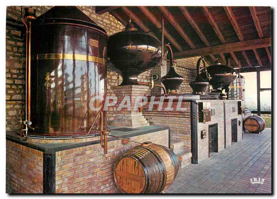 CPM Images de France En Charente Une distellerie
