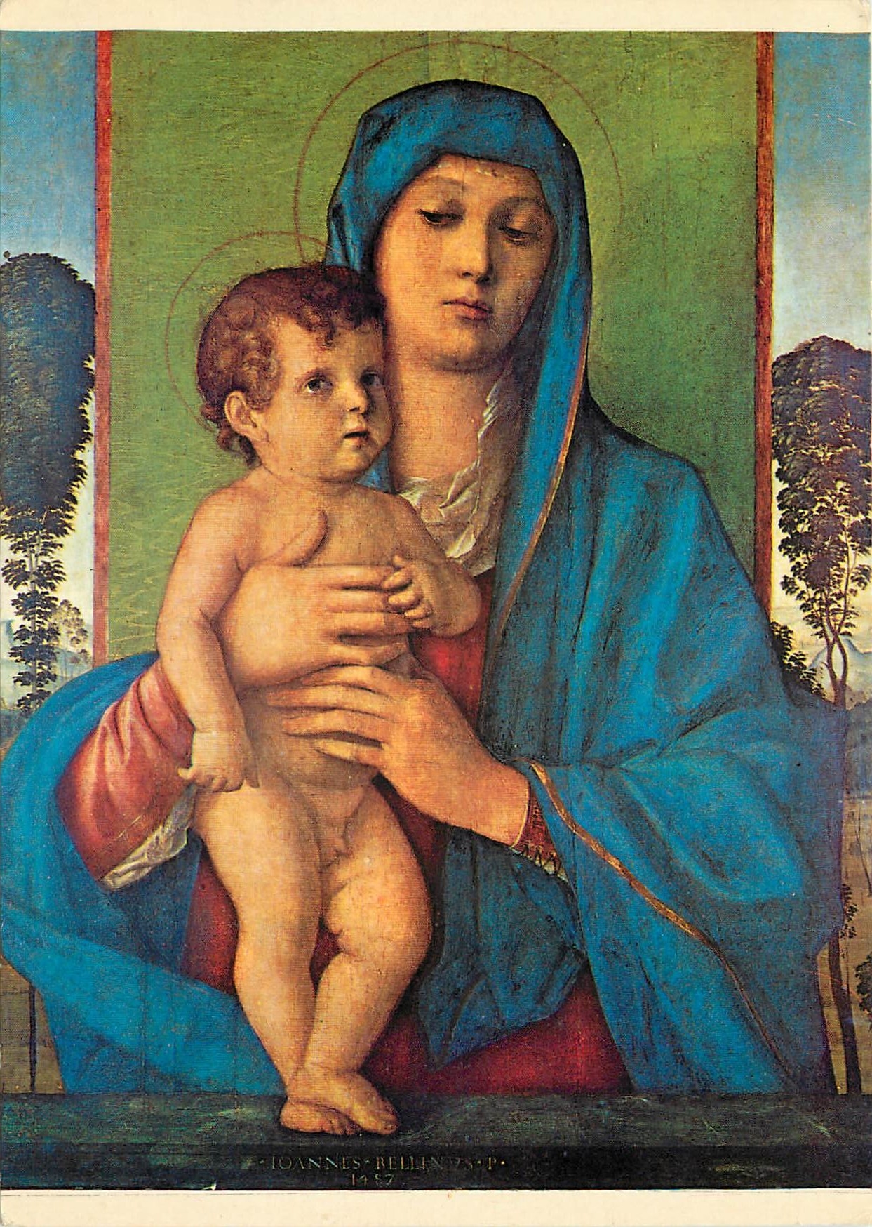 CPM Giovanni Bellini La Madonna degli Alberitti Venezia 