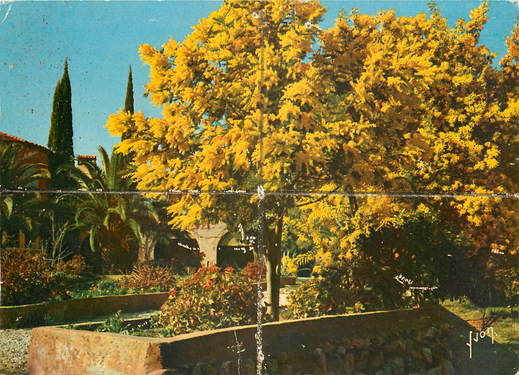 Garten mit gelb blühendem Baum — Éditions d'Art YVON, Serie E.K.B. 392