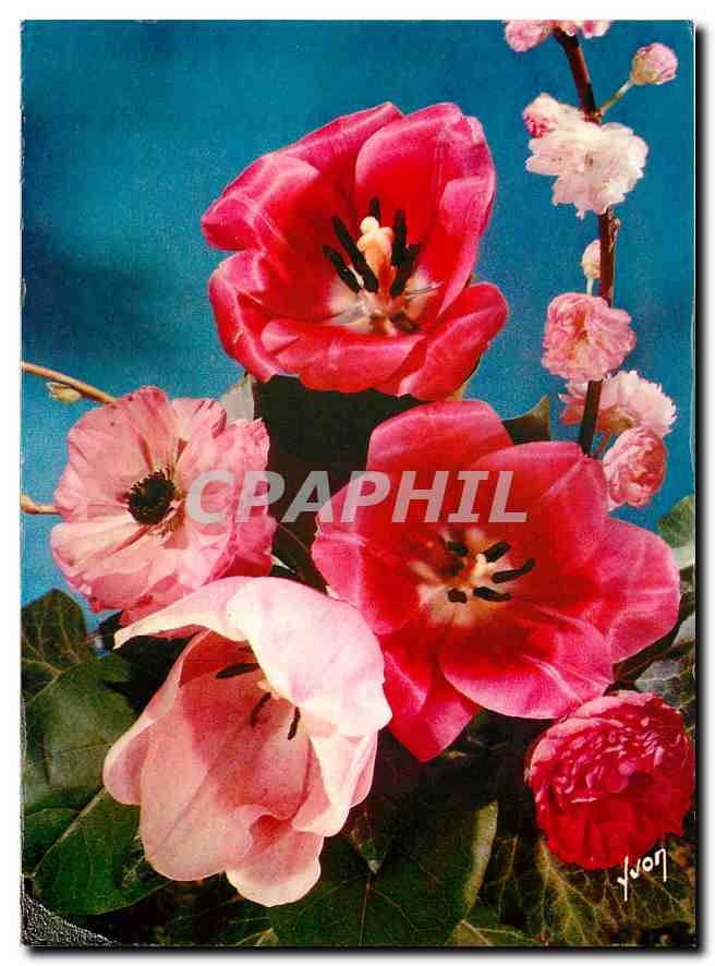 CPM Jolies fleurs de France 