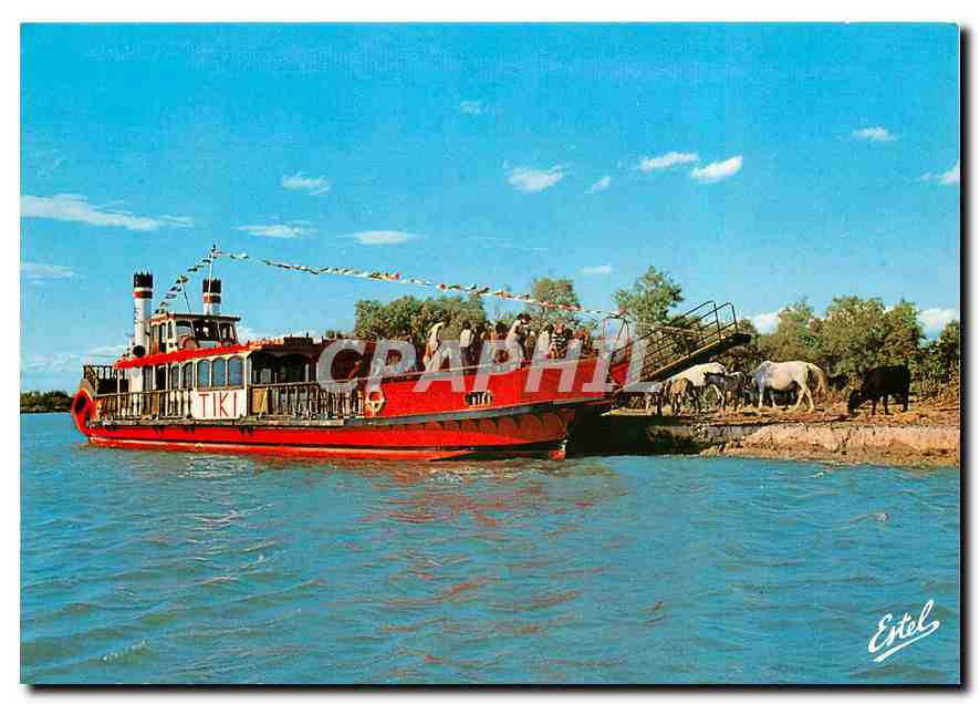 CPM Tiki Bateau de promenade en Camargue Les saintes maries de la Mer 