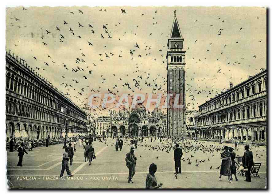 CPM Place St Marc et une volee de pigeons Venise