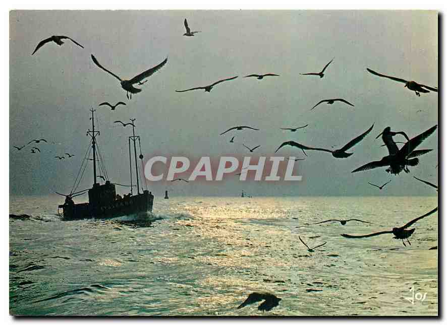 Bateau de pêche — oiseaux en vol — Éditions d'Allos le Château, n°101