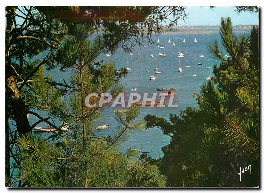 CPM Couleurs et Lumiere de France Bassin d'Arcachon Gironde Un tres joli coin du bassin pres de la P