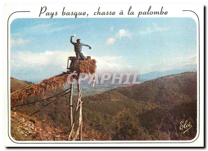 CPM Pays Basque La chasse a la Palombe dens les cols du Pays Basque 