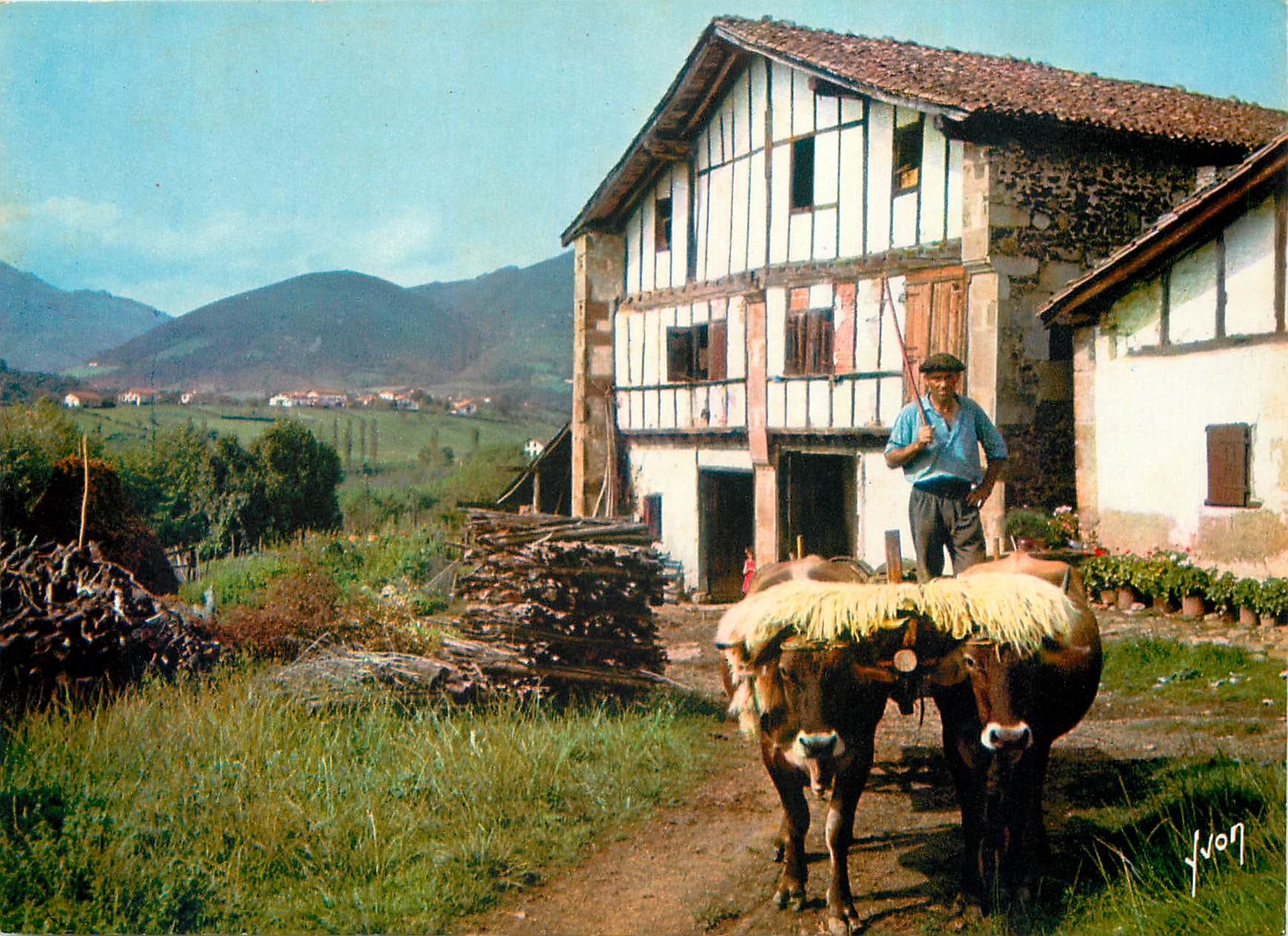 CPM Couleurs et Lumiere de France Les Pays Basque Ferme et attelage basques 
