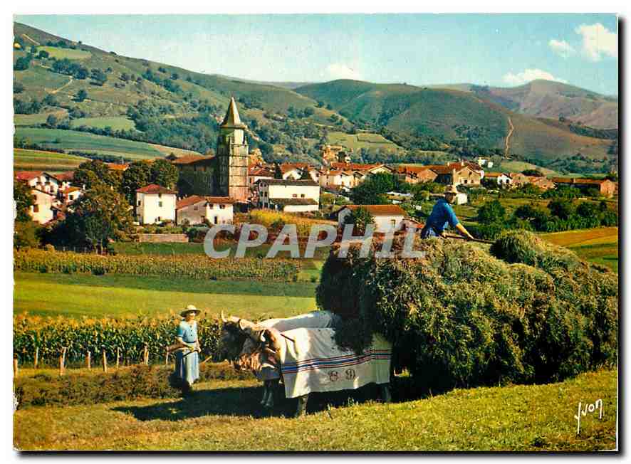 CPM Couleurs et Lumiere de France Le Pays Basque Ainhoa Pyrenees Atlantiques Village type du Pay Bas