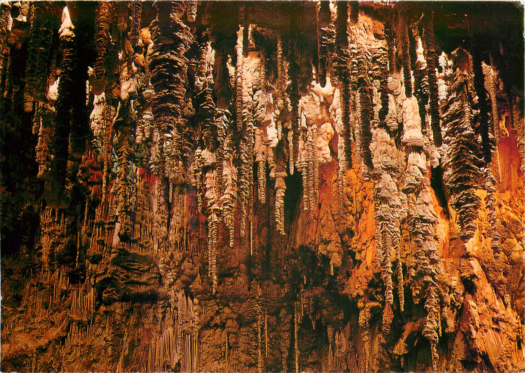 CPM Dans le circuit des gorges du Tarn et de la Jonte Grotte de l'Aven Armand Vue d'ensemble 