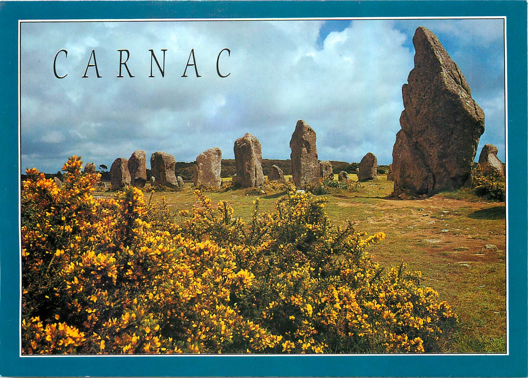 CPM La Bretagne en Couleur Carnac Les ajoncs et les menhirs 