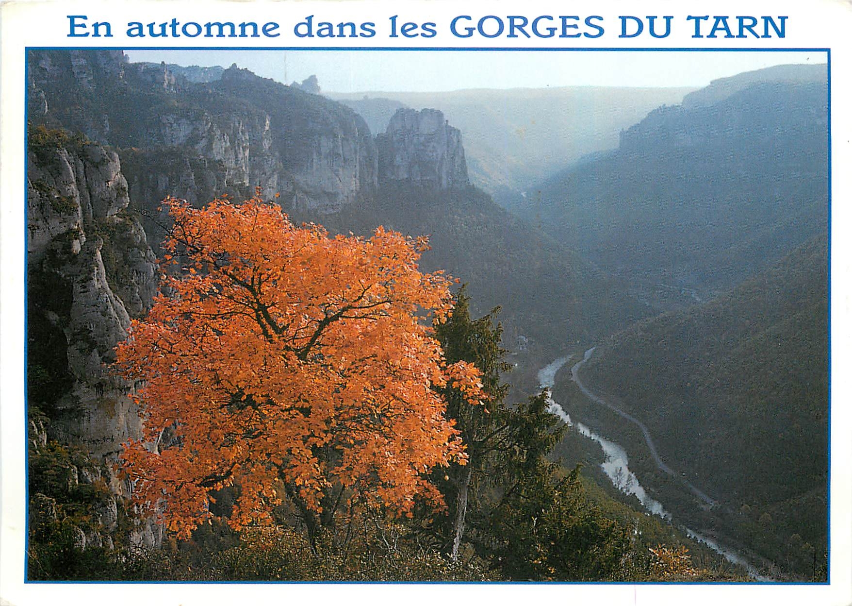 CPM Gorges du Tarn Lozere En automne les Corniches 