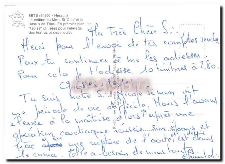 CPM Sete Herault La colline du Mont St Clair et le Bassin de Thau En premier plan les tables uillise — Back