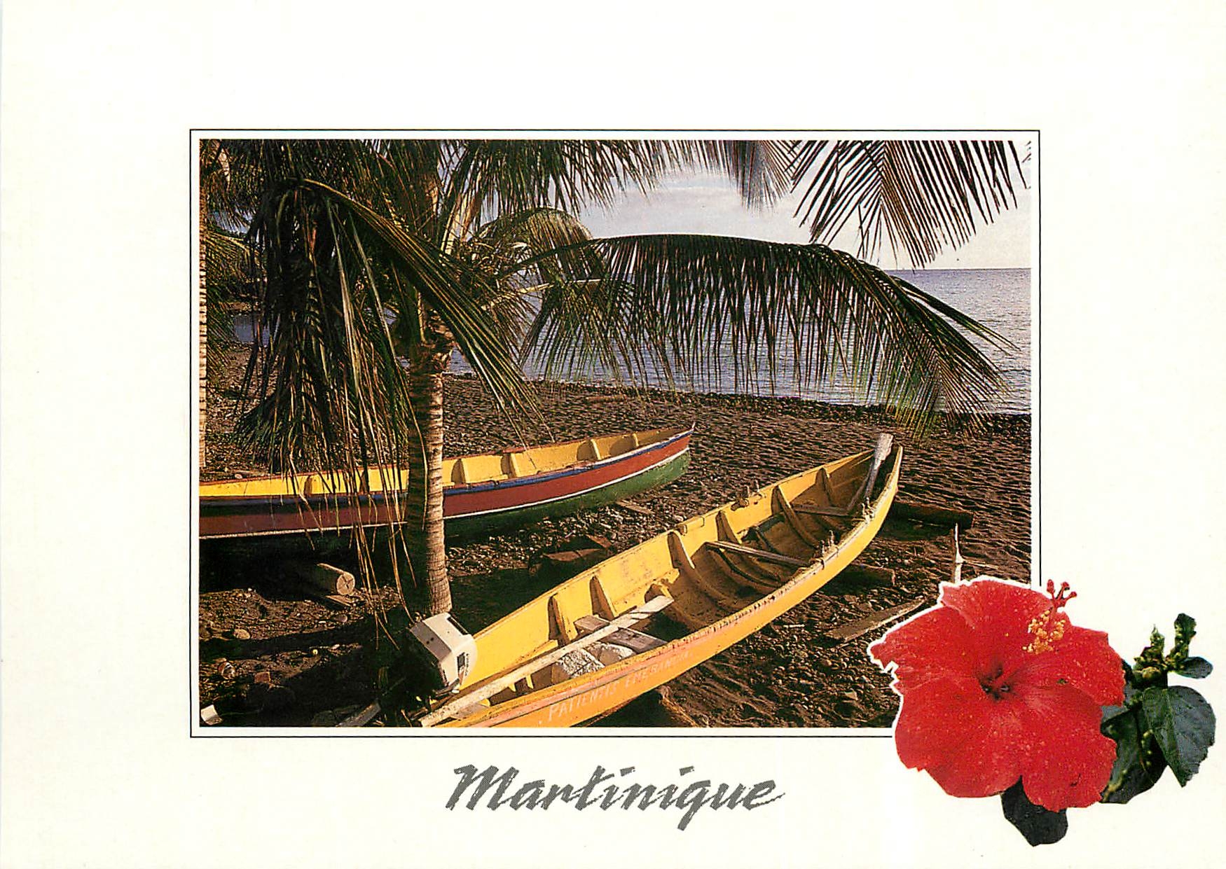 CPM Martinique Gommiers sous les cocotiers 