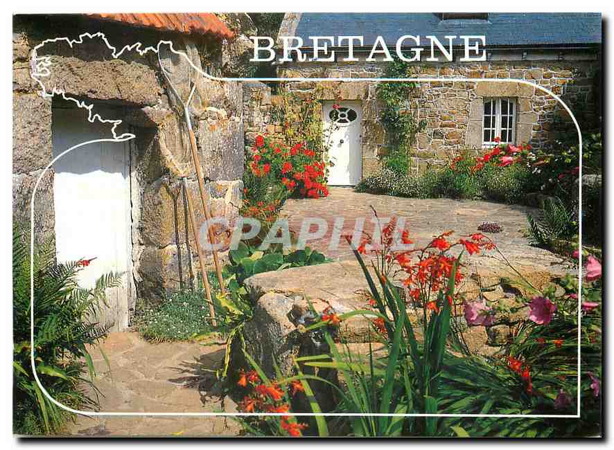 CPM Couleurs de Bretagne Fleurs et vieilles pierres 
