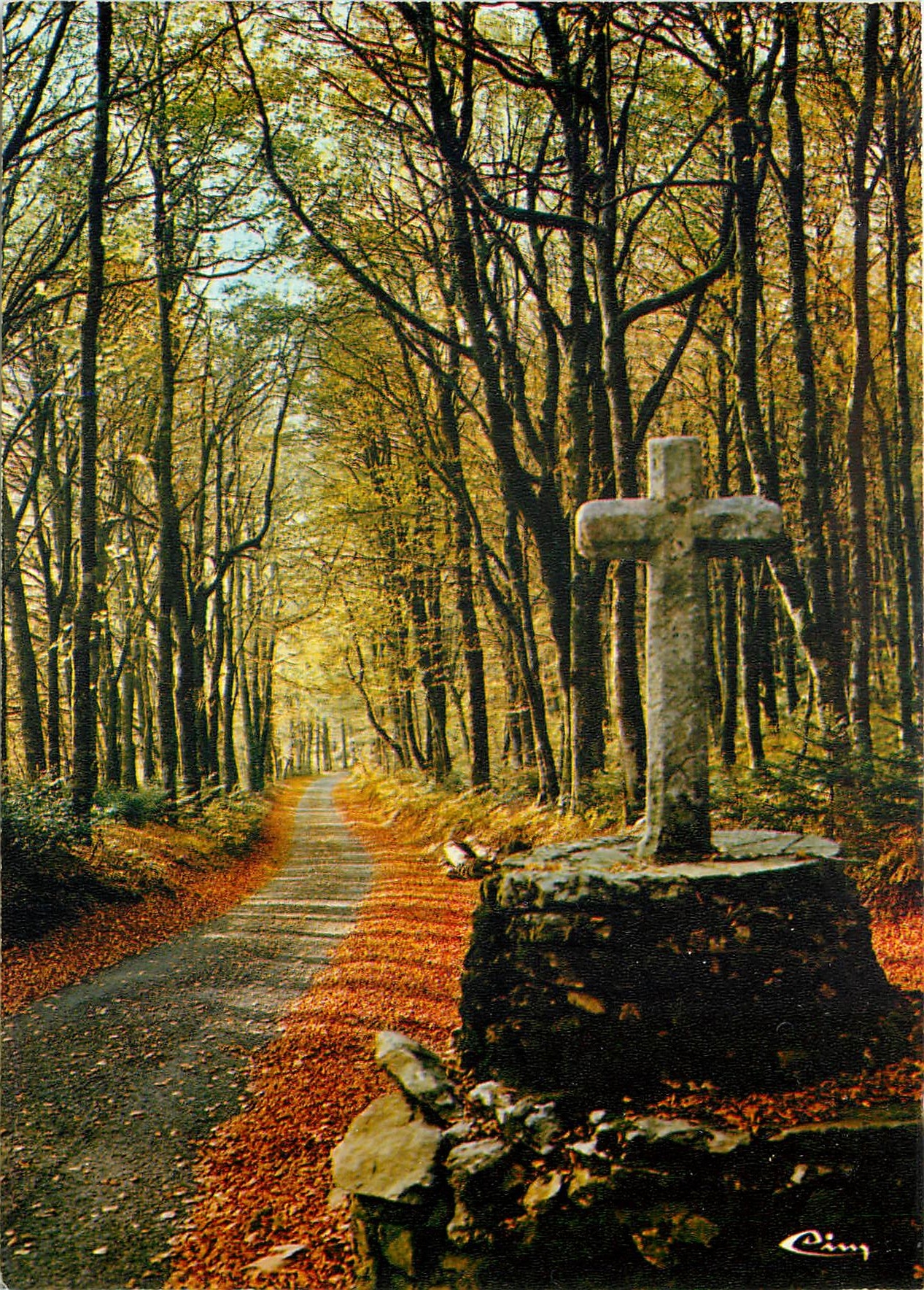 CPM Notre Belle France Vieille croix dans les bois de l'automne 