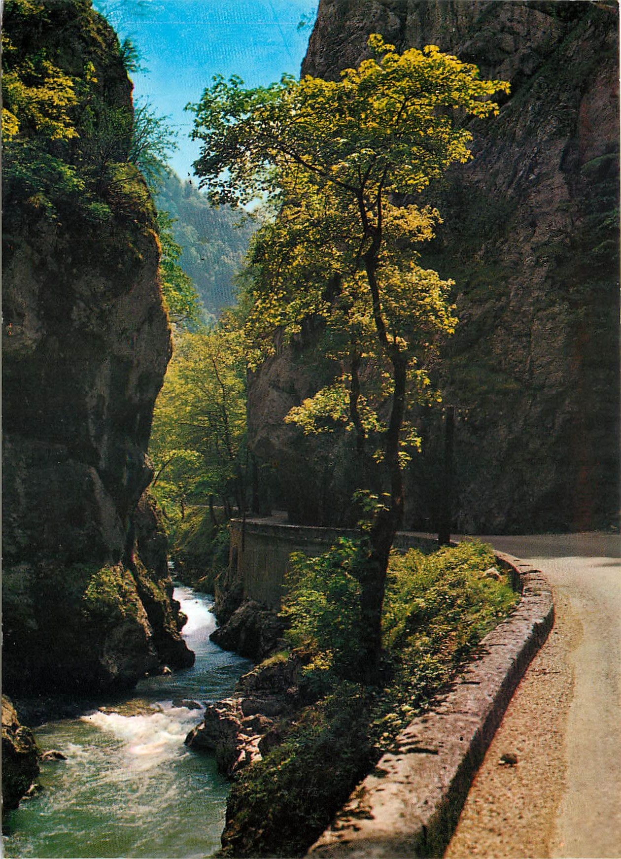 CPM Le Vercors Route de Villard de Lans a Pont en Royans Les Gorges de la Bourne 