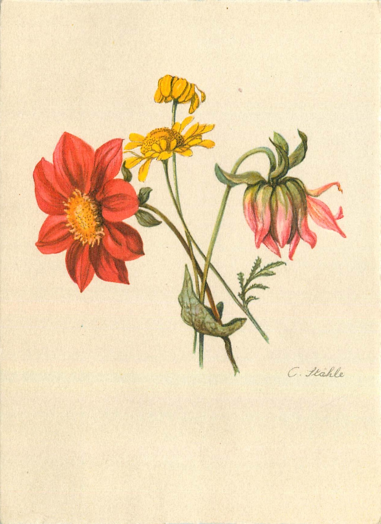 CPM Fleurs