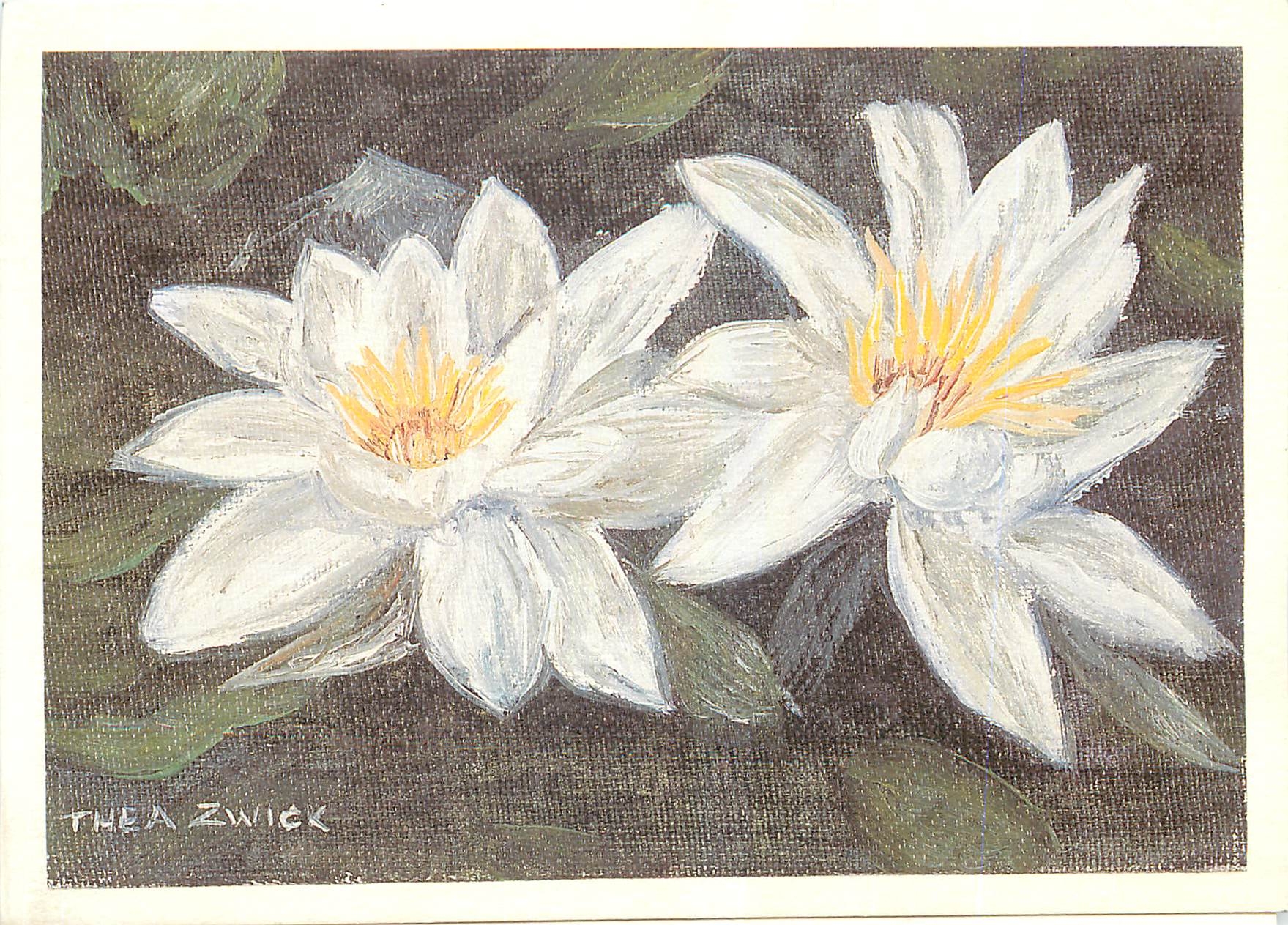 CPM Fleurs 