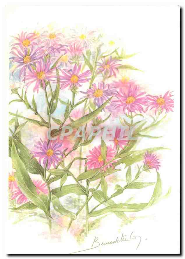 CPM Fleurs 